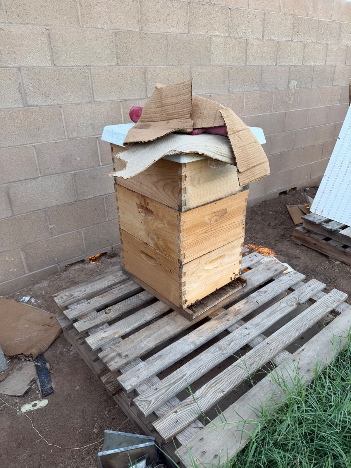 4 beehives for sale